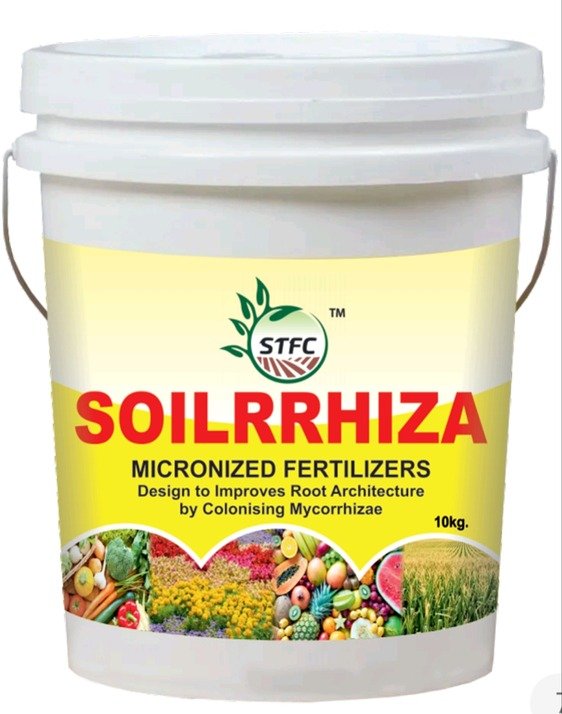 SOILRRHIZA.jpg